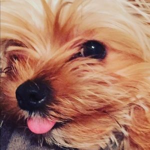 Meet your Posher, Deedee